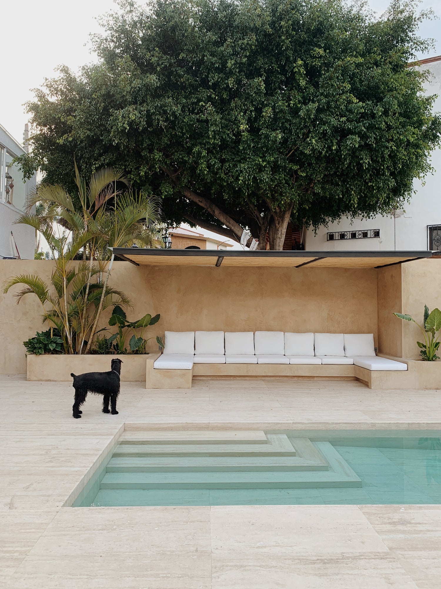 Beautiful design of an outdoor lounge area made out of travertine. There's a minimal and elegant salt water pool and a dog close by under a large tree