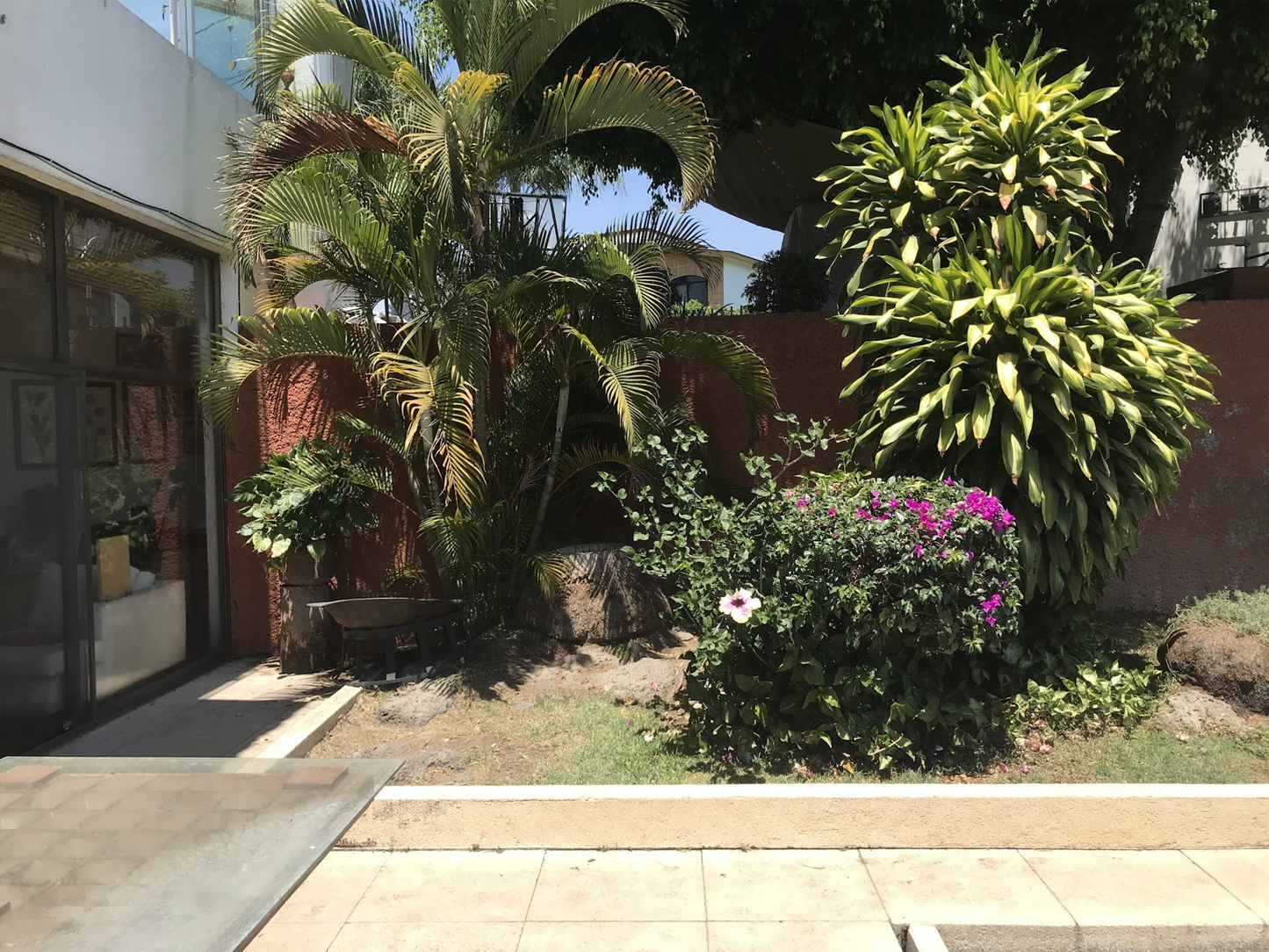 Oasis Privado & Renovación de Alberca – Lomas de Cocoyoc